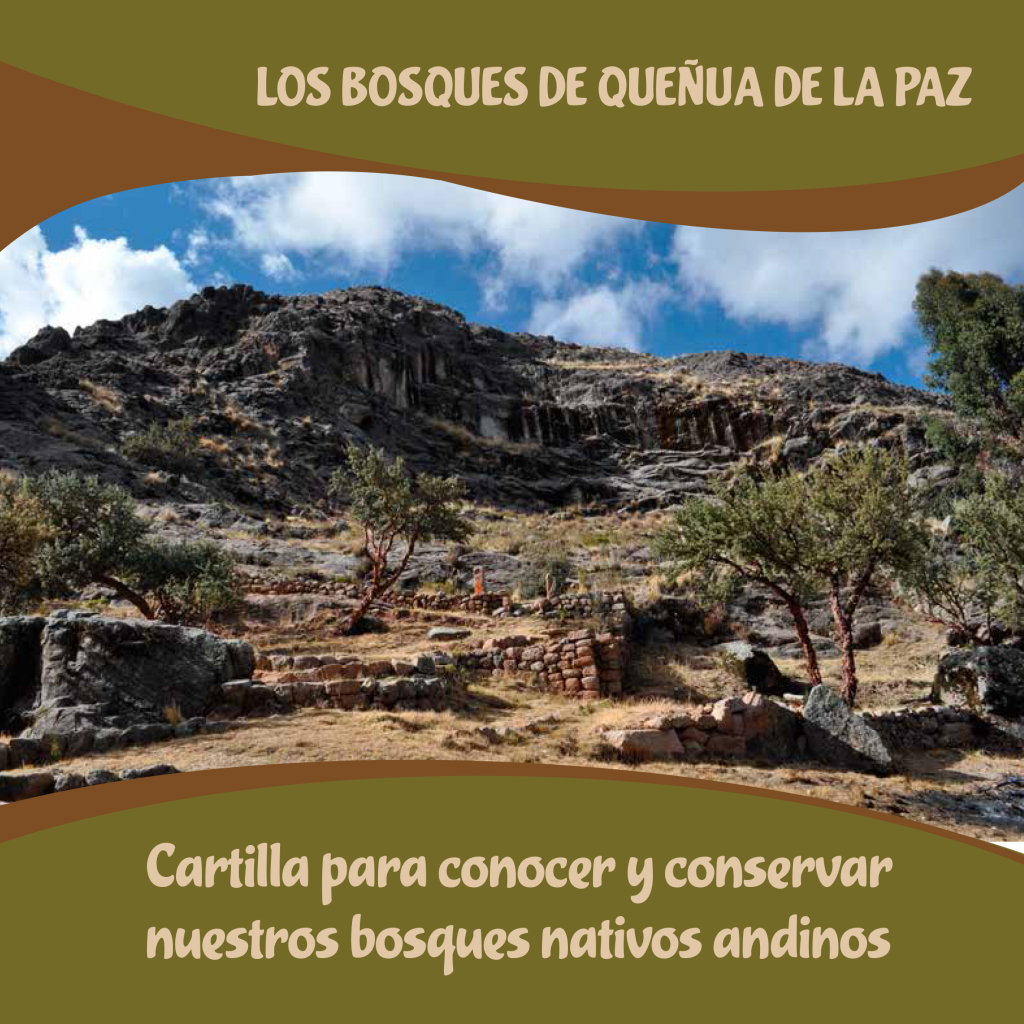 Los bosques de queñua de La Paz Ciencia Ciudadana