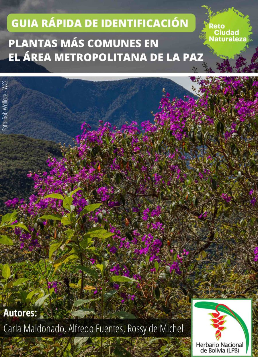 Guía de Plantas Comúnes de La Paz